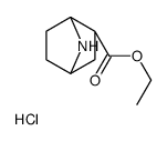 Ethyl (2S)-7-azabicyclo[2.2.1]heptane-2-carboxylate hydrochloride (1:1)