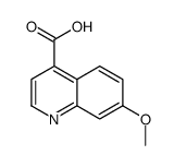 7-甲氧基-4-喹啉羧酸