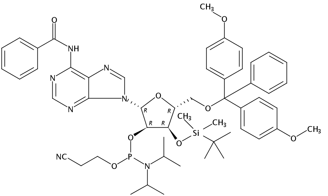 3'-TBDMS-Bz-rA 亚磷酰胺单体