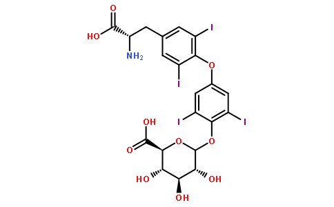 左甲状腺素酚葡萄糖苷酸