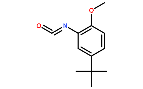 5-叔丁基-2-甲氧苯基异氰酸酯