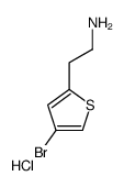 4-溴-2-噻吩乙胺盐酸盐