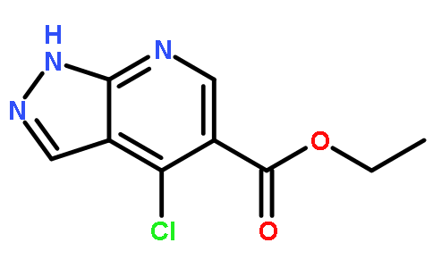 4-氯-1H-吡唑并[3,4-b]吡啶-5-羧酸乙酯