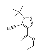 5-氰基-1-叔丁基-1H-吡唑-4-羧酸乙酯