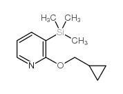2-环丙基甲氧基-3-三甲基甲硅烷基吡啶