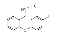 1-［2-(4-氟苯氧基)苯基］-N-甲基甲基胺