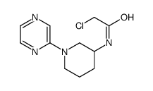 2-氯-n-(1-吡嗪-2-基-哌啶-3-基)-乙酰胺