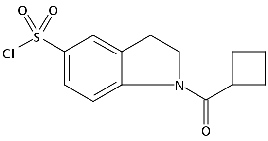 1-cyclobutane carbonyl-2,3-dihydro-1H-indole-5-sulfonyl chloride