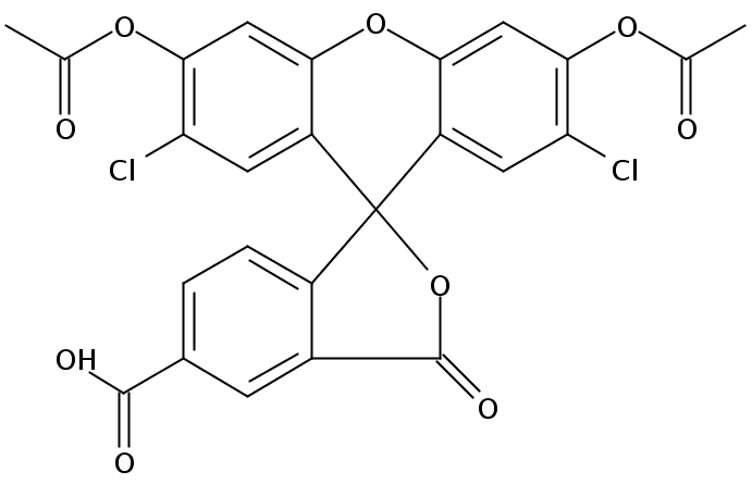 5-CDCFDA  [5-Carboxy-2',7'-dichlorofluorescein Diacetate]