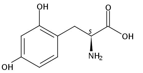 2,4-二羟基-l-苯丙氨酸