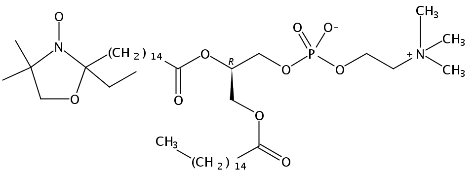 1-palmitoyl-2-stearoyl-(16-doxyl)-sn-glycero-3-phosphocholine