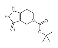 3-氨基-6,7-二氢-1H-吡唑并[4,3-C]吡啶-5(4H)-羧酸叔丁酯