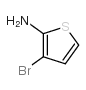 2-氨基-3-溴噻吩