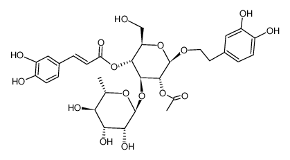 2-乙酰毛蕊花糖苷