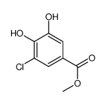 3-氯-4,5-二羟基苯甲酸甲酯