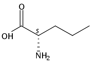 Α-戊胺酸