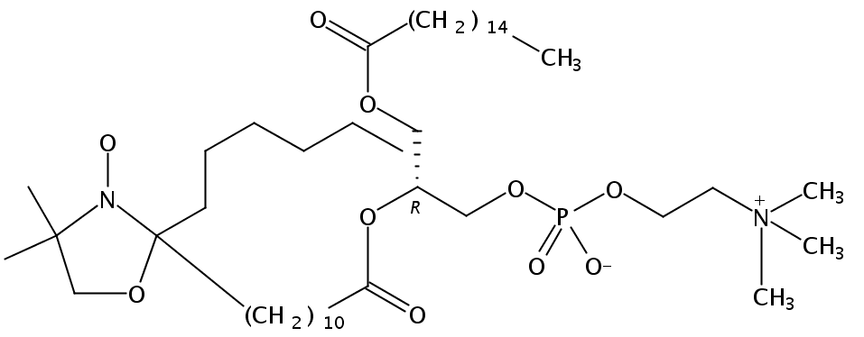 1-palmitoyl-2-stearoyl-(12-doxyl)-sn-glycero-3-phosphocholine