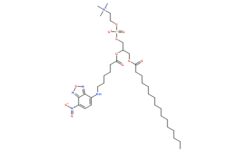 NBD-C6-HPC  [2-(6-(7-Nitrobenz-2-oxa-1,3-diazol-4-yl)amino)hexanoyl-1-hexadecanoyl-sn-glycero-3-phosphocholine]  