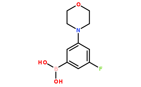 3-氟-5-吗啉苯硼酸