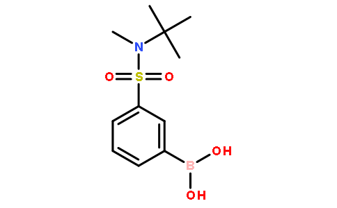 3-(N-叔丁基-N-甲基磺酰基)苯硼酸