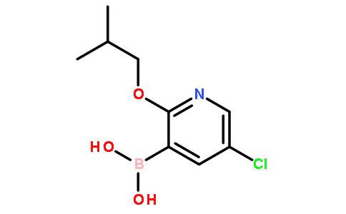 5-氯-2-异丁氧基吡啶-3-硼酸