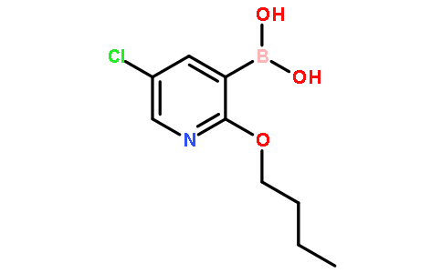 2-丁氧基-5-氯吡啶-3-硼酸