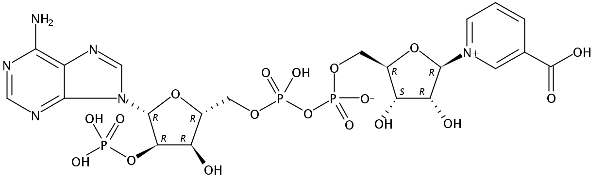烟酸酰胺腺嘌呤二核苷酸磷酸钠盐NAADP-sodium salt