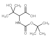 Boc-(RS)-2-Amino-3-Hydroxy-3-Methylbutanoic Acid