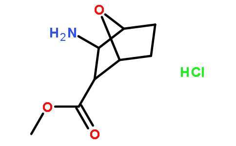 methyl 3-amino-7-oxabicyclo[2.2.1]heptane-2-carboxylate