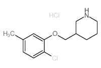 2-Chloro-5-methylphenyl 3-piperidinylmethyl ether hydrochloride