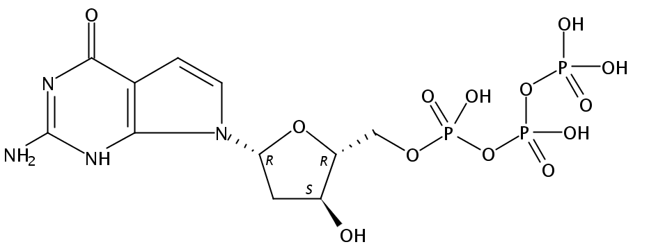 7-Deaza-2′-deoxy-guanosine-5′-triphosphate
