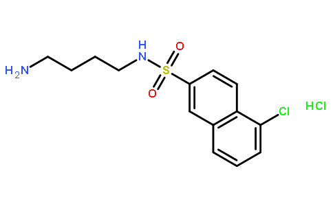 N-(4-氨基丁基)-5-氯萘-2-磺酰胺盐酸盐