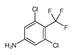 3,5-二氯-4-(三氟甲基)苯胺