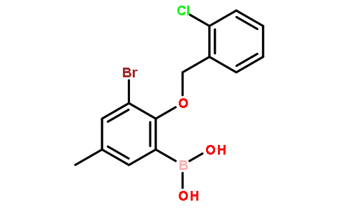 3-溴-2-(2’-氯苄氧基)-5-甲基苯基硼酸