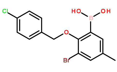 3-溴-2-(4’-氯苄氧基)-5-甲基苯基硼酸