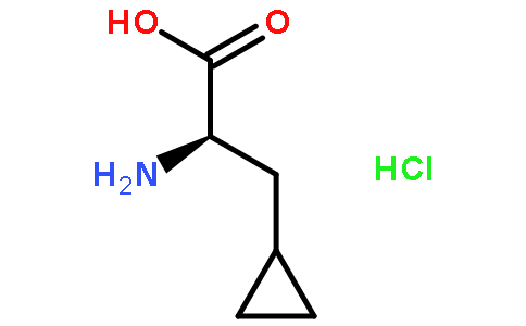 L-beta-环丙基丙氨酸盐酸盐