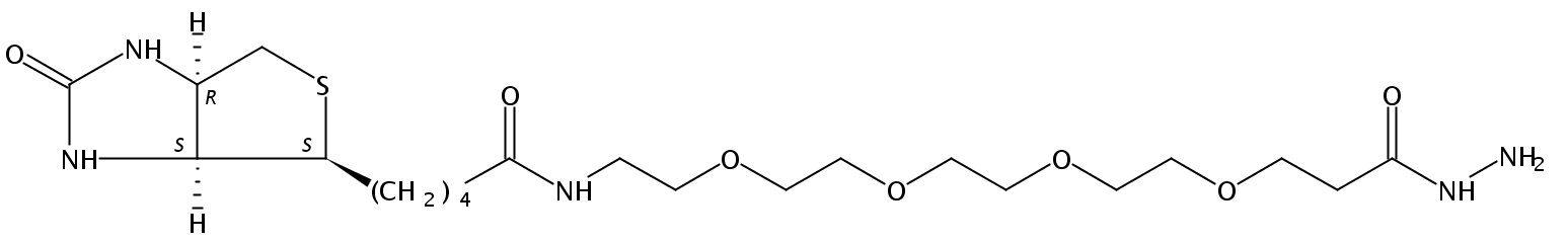 (+)-Biotin-PEG4-NHNH2
