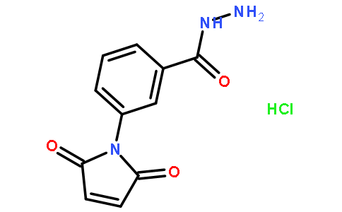 3-正马来酰亚胺基苯肼盐酸盐