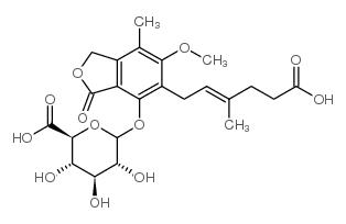 MycophenolicAcidβ-D-Glucuronide