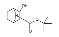 (1R,2R,4S)-rel-tert-Butyl 2-hydroxy-7-azabicyclo[2.2.1]heptane-7-carboxylate