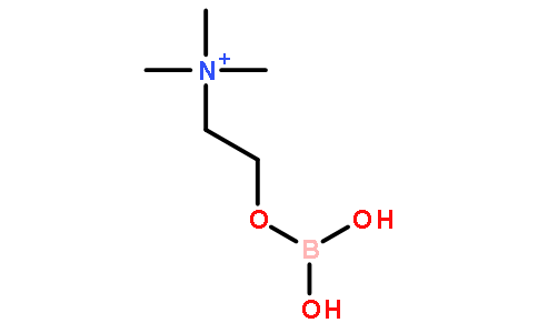 硼酸胆碱