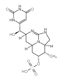 柱孢藻毒素