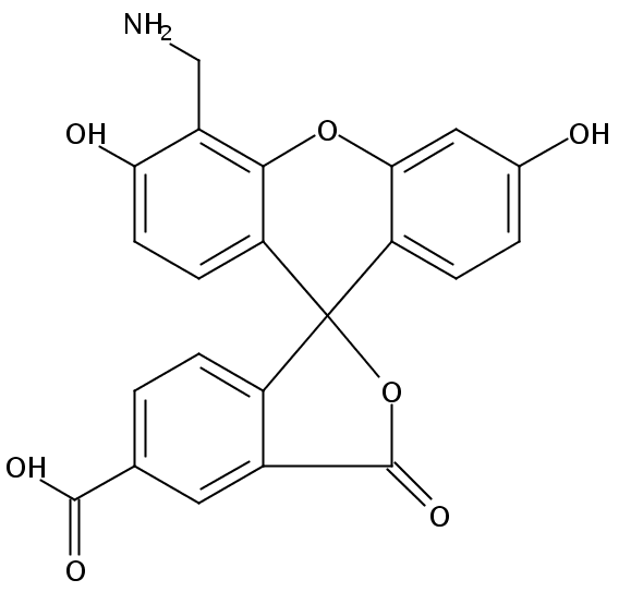 4'-氨甲基-5-羧基荧光素