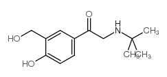2-[(1,1-二甲基乙基)氨基]-1-[4-OH-3-(羟甲基)苯基]乙烷-1-酮