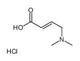 4-(dimethylamino)but-2-enoic acid