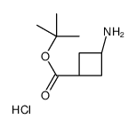 tert-butyl 3-aminocyclobutane-1-carboxylate,hydrochloride