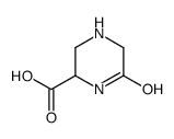 6-oxopiperazine-2-carboxylic acid