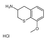 8-甲氧基-硫代苯并二氢吡喃-3-胺盐酸盐