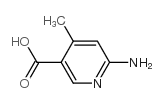 2-氨基-4-甲基吡啶-5-甲酸
