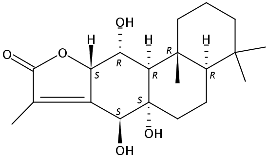 Yuexiandajisu D